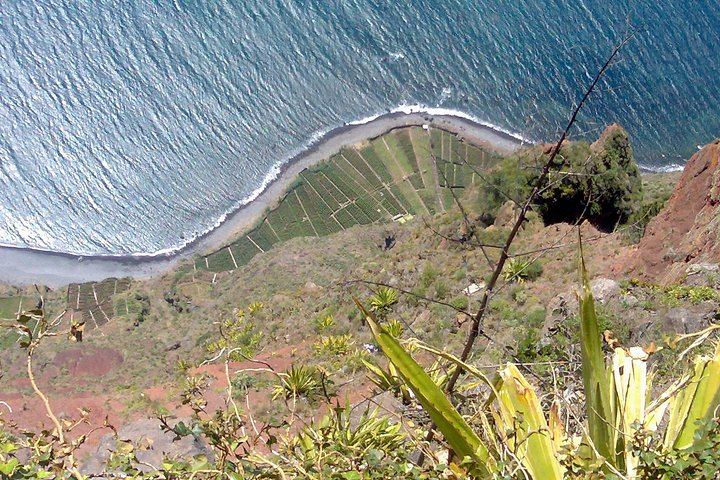 Small-Group West Madeira Tour: Porto Moniz Pools, Fanal Forest and Bridal Veil (11/12)
