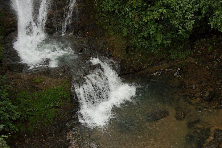 Los Campesinos Reserve Waterfalls and 127-Meter Hanging Bridge near Manuel Antonio (2/12)