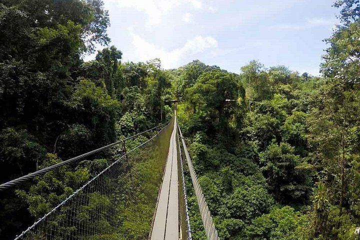 Los Campesinos Reserve Waterfalls and 127-Meter Hanging Bridge near Manuel Antonio (10/12)