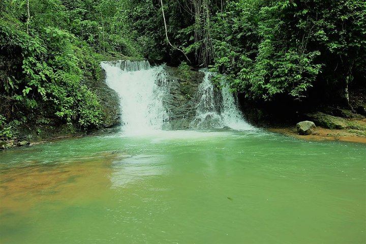 Los Campesinos Reserve Waterfalls and 127-Meter Hanging Bridge near Manuel Antonio (4/12)