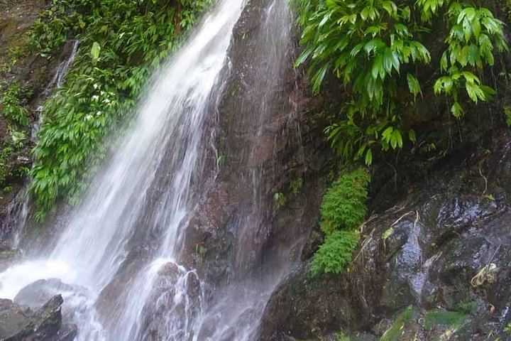 Los Campesinos Reserve Waterfalls and 127-Meter Hanging Bridge near Manuel Antonio (11/12)