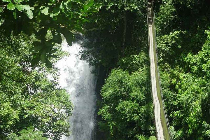 Los Campesinos Reserve Waterfalls and 127-Meter Hanging Bridge near Manuel Antonio (9/12)