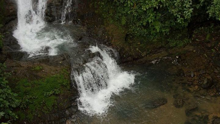 Los Campesinos Reserve Waterfalls and 127-Meter Hanging Bridge near Manuel Antonio (2/12)