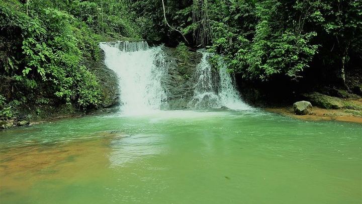 Los Campesinos Reserve Waterfalls and 127-Meter Hanging Bridge near Manuel Antonio (4/12)
