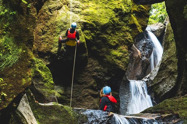 Extreme Dominica Half-Day Canyoning: Rainforest Gorge, Falls and Pools