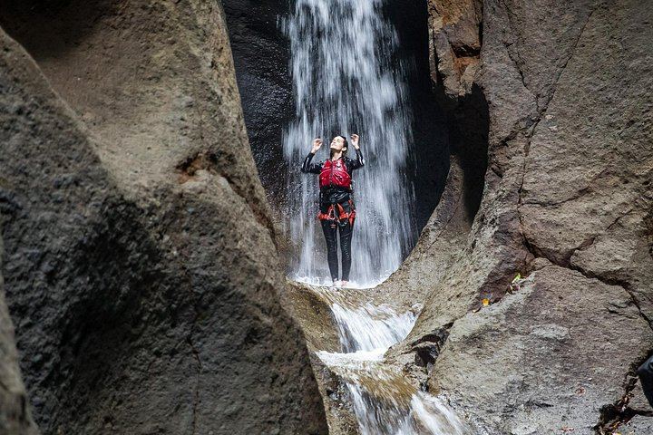 Extreme Dominica Half-Day Canyoning: Rainforest Gorge, Falls and Pools (9/9)