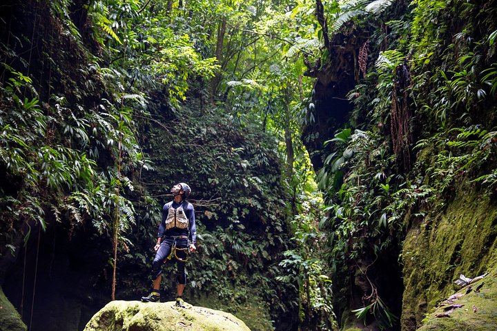 Extreme Dominica Half-Day Canyoning: Rainforest Gorge, Falls and Pools (5/9)