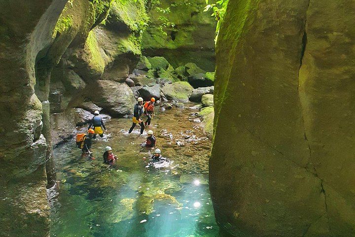 Extreme Dominica Half-Day Canyoning: Rainforest Gorge, Falls and Pools (8/9)