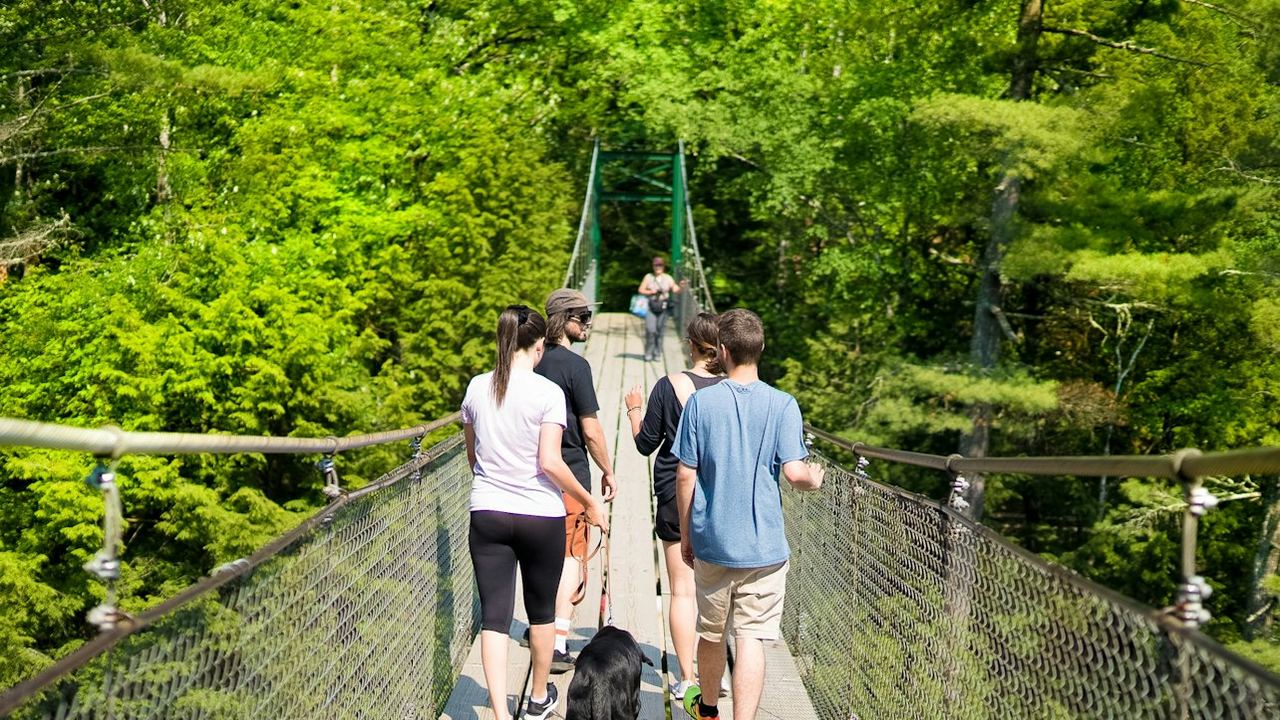 Canyon Sainte-Anne Entry Ticket: Three Suspension Bridges and a 74 m Waterfall (4/7)