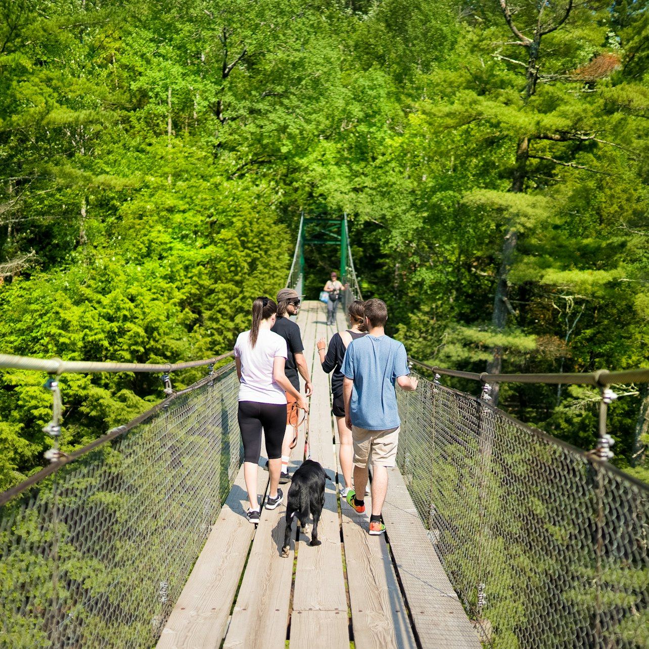 Canyon Sainte-Anne Entry Ticket: Three Suspension Bridges and a 74 m Waterfall (4/7)