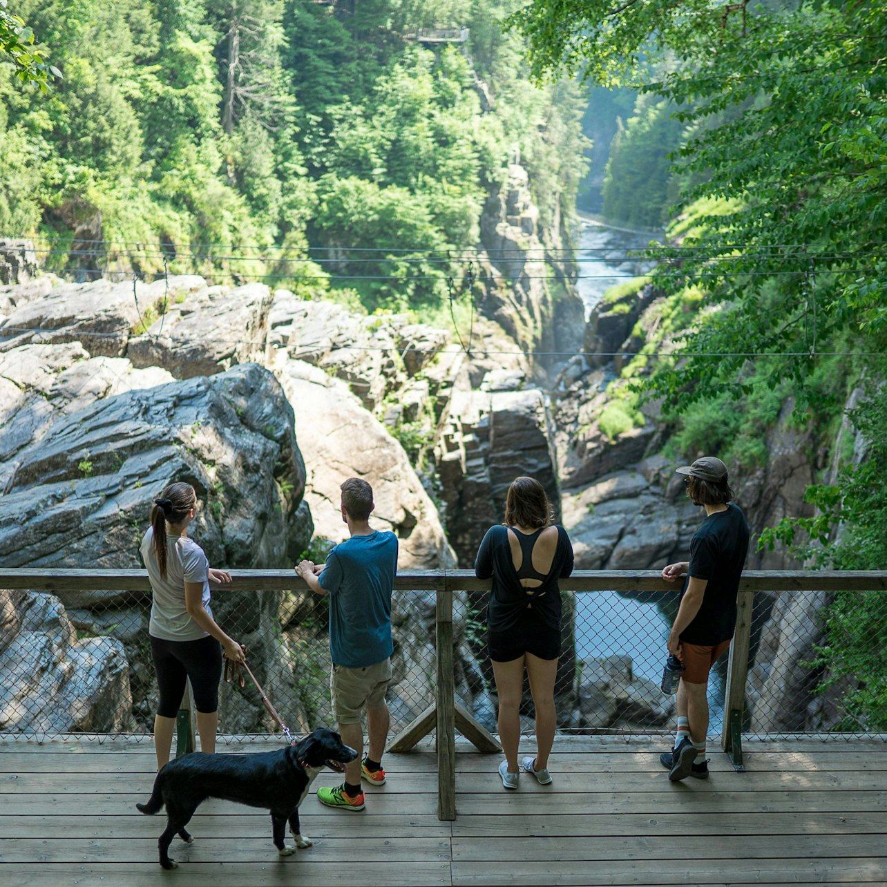 Canyon Sainte-Anne Entry Ticket: Three Suspension Bridges and a 74 m Waterfall (7/7)