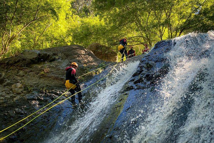 Level 2 Canyoning in Ribeira do Cidrão: Madeira Central Mountains, Pools and Rappels (3/8)