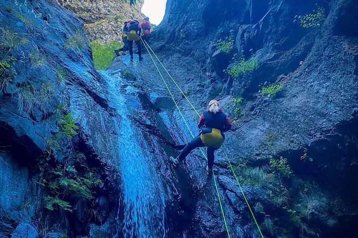 Level 2 Canyoning in Ribeira do Cidrão: Madeira Central Mountains, Pools and Rappels (7/8)
