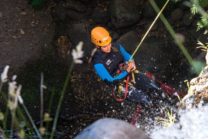 Level 1 Canyoning in Madeira for Beginners and Families, 5 Hours with Transport (9/10)
