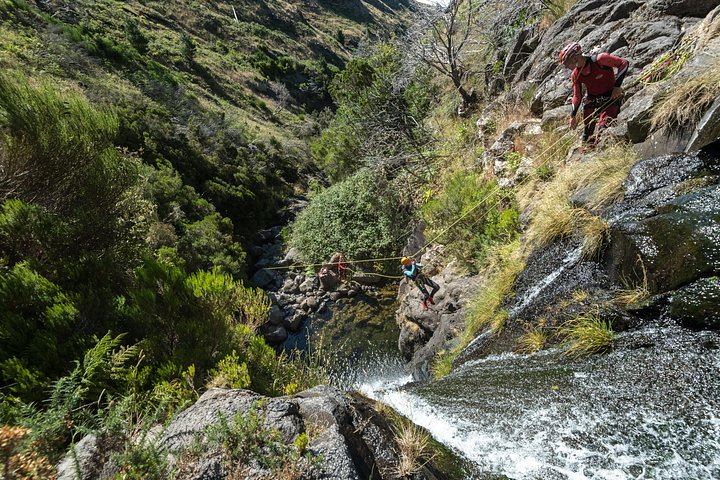 Ribeira das Cales Canyoning from Chão da Lagoa: Five Rappels, Laurissilva Hike (7/8)