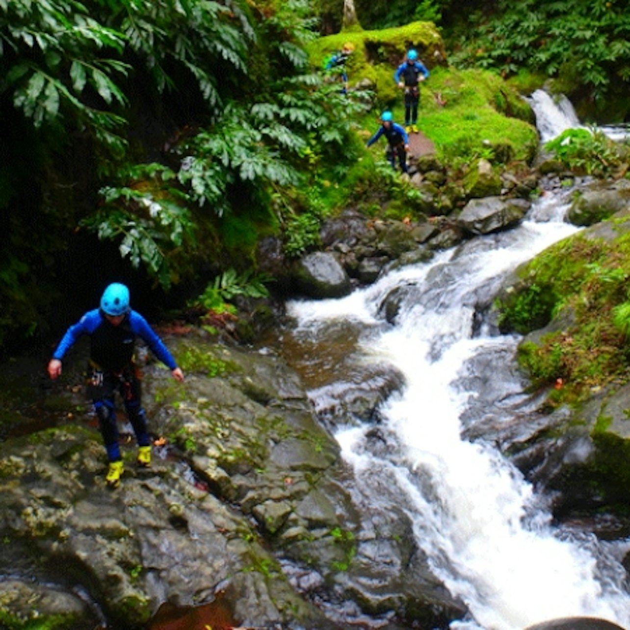 Ribeira dos Caldeirões Canyoning Day with Tea Plantation Stop and 5 m Jumps (4/5)