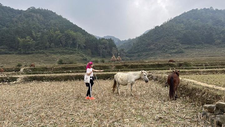 Cao Bang Easy Trekking 2 Days 1 Night ET1: Border Belt Route, Tiger Cave and Ban Gioc (2/12)
