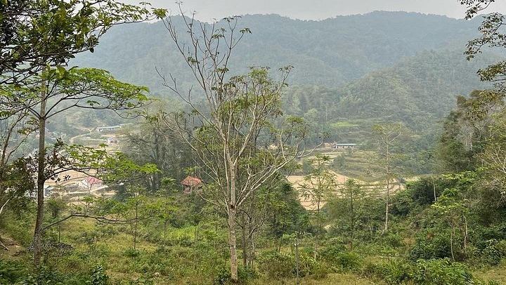 Cao Bang Easy Trekking 2 Days 1 Night ET1: Border Belt Route, Tiger Cave and Ban Gioc (4/12)