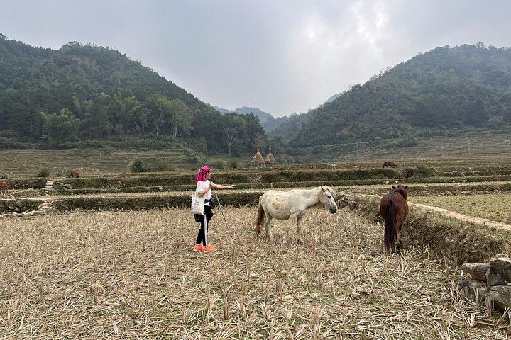 Cao Bang Easy Trekking 2 Days 1 Night ET1: Border Belt Route, Tiger Cave and Ban Gioc (2/12)