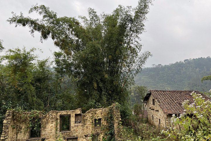 Cao Bang Easy Trekking 2 Days 1 Night ET1: Border Belt Route, Tiger Cave and Ban Gioc (10/12)