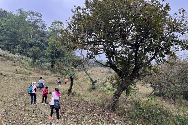Cao Bang Easy Trekking 2 Days 1 Night ET1: Border Belt Route, Tiger Cave and Ban Gioc