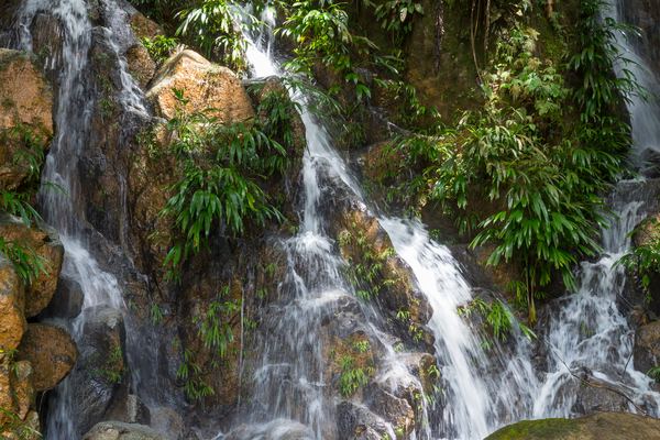 Medellín Waterfall Tours