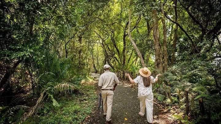 Victoria Falls Rainforest Guided Tour with Private Transport from the Hotel (1/11)