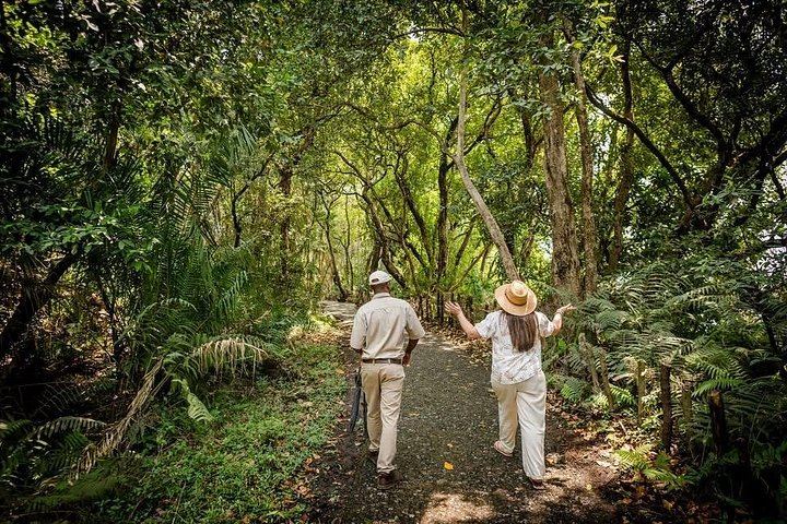 Victoria Falls Rainforest Guided Tour with Private Transport from the Hotel (1/11)