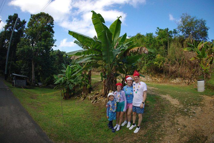 Arenales Caves, Taíno Petroglyphs and Charco Azul Pool with Optional Cliff Jumps (3/12)
