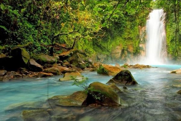 Rio Celeste Waterfall, Sloth Spotting and Scarlet Macaws from Guanacaste