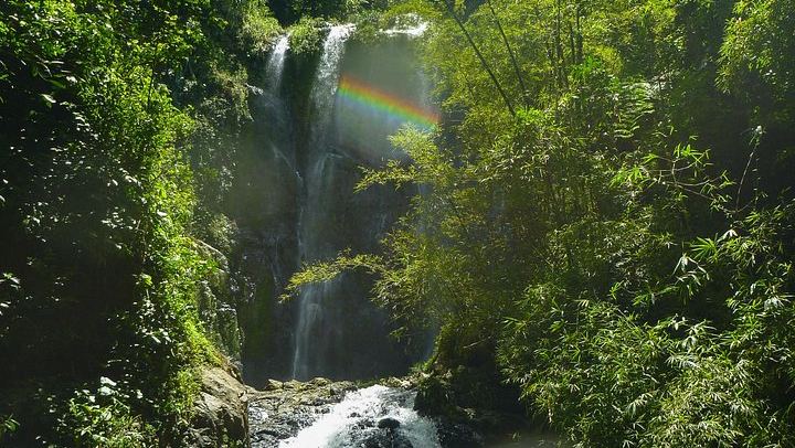 Charco Prieto Hidden Waterfall Hike with Stream Crossings and El Rincon Stop (3/12)