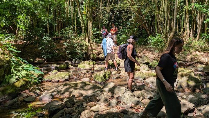 Charco Prieto Hidden Waterfall Hike with Stream Crossings and El Rincon Stop (4/12)