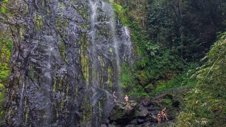 Charco Prieto Hidden Waterfall Hike with Stream Crossings and El Rincon Stop (1/12)