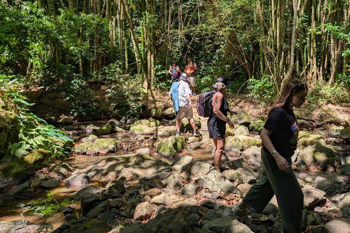 Charco Prieto Hidden Waterfall Hike with Stream Crossings and El Rincon Stop (4/12)