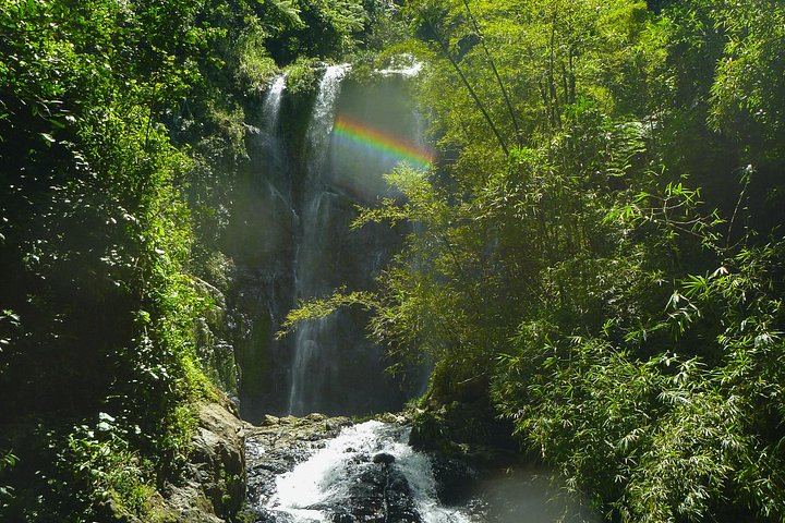 Charco Prieto Hidden Waterfall Hike with Stream Crossings and El Rincon Stop (3/12)