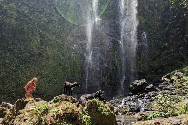 Charco Prieto Hidden Waterfall Hike with Stream Crossings and El Rincon Stop (8/12)