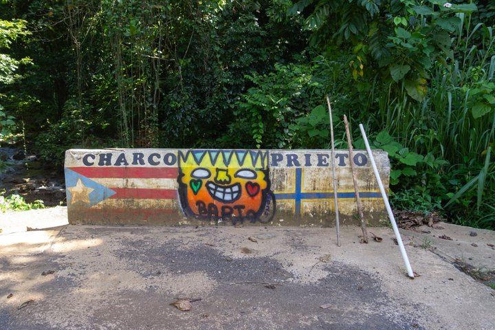 Charco Prieto Hidden Waterfall Hike with Stream Crossings and El Rincon Stop (7/12)