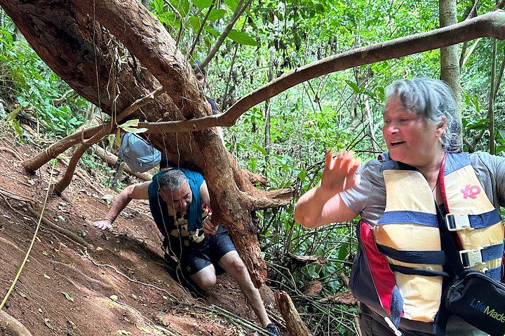 Chase Waterfalls: 180-Foot Hidden Waterfall Hike with Life Vests and Fruit Stop (6/12)
