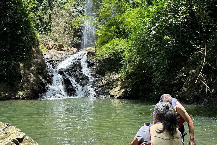 Chase Waterfalls: 180-Foot Hidden Waterfall Hike with Life Vests and Fruit Stop (5/12)