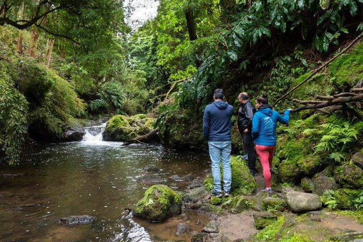 Sao Miguel Waterfalls Day Tour by Electric Van, Max 8 Guests, Picnic Lunch (11/12)