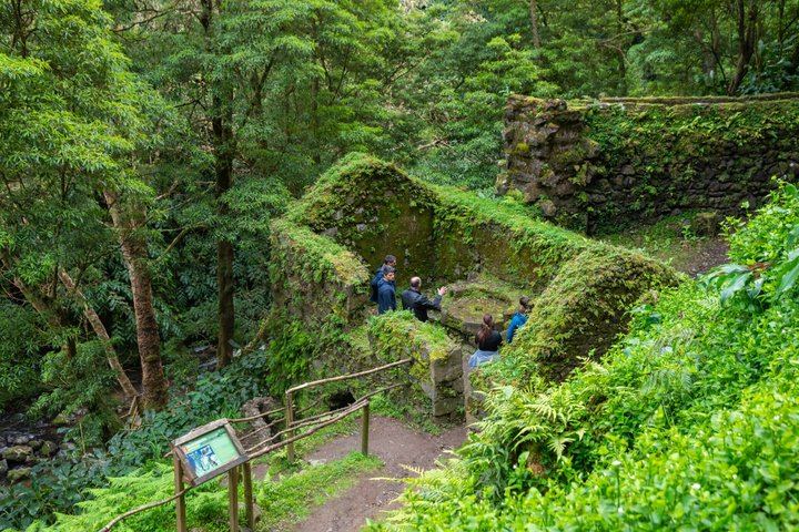 Sao Miguel Waterfalls Day Tour by Electric Van, Max 8 Guests, Picnic Lunch (3/12)