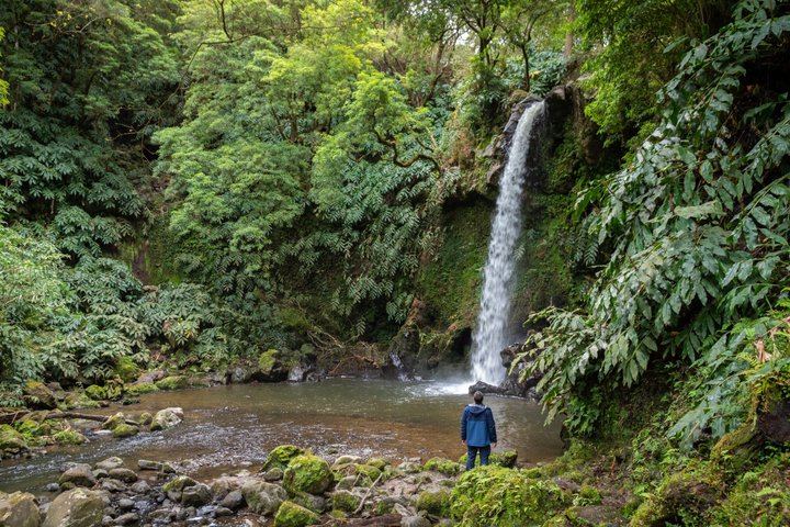 Sao Miguel Waterfalls Day Tour by Electric Van, Max 8 Guests, Picnic Lunch (10/12)