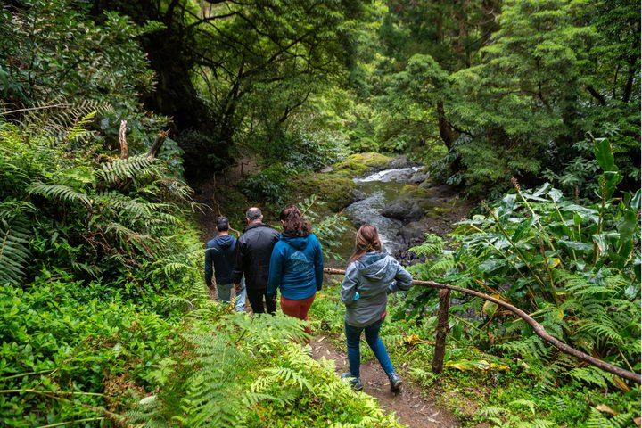 Sao Miguel Waterfalls Day Tour by Electric Van, Max 8 Guests, Picnic Lunch (5/12)