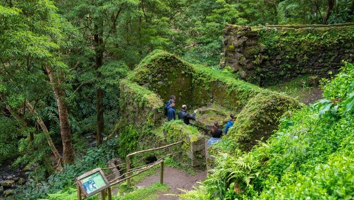 Sao Miguel Waterfalls Day Tour by Electric Van, Max 8 Guests, Picnic Lunch (3/12)