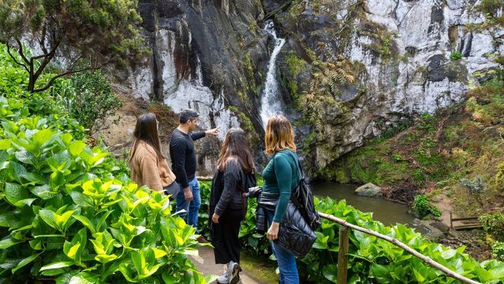 Sao Miguel Waterfalls Day Tour by Electric Van, Max 8 Guests, Picnic Lunch (2/12)