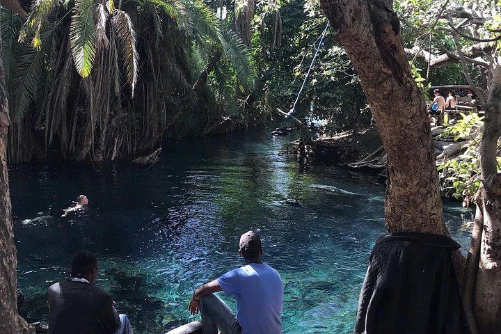 Materuni Waterfall and Organic Arabica Coffee Day Trip from Moshi (3/8)