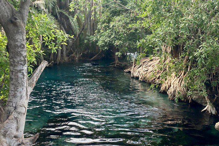 Materuni Coffee Tour and Chemka Hot Springs Day Trip with Local Lunch from Arusha (2/12)
