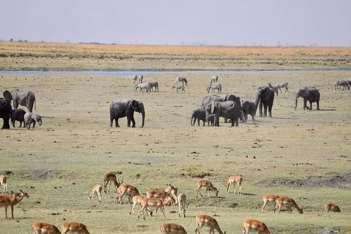 Victoria Falls and Chobe 3-Day Tour With Airport Transfers and Park Fees Included (11/12)