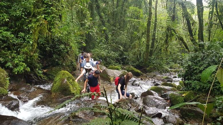 Chorro de las Campanas Waterfall Trip from Montañita Hostel, 5 Hours (4/12)