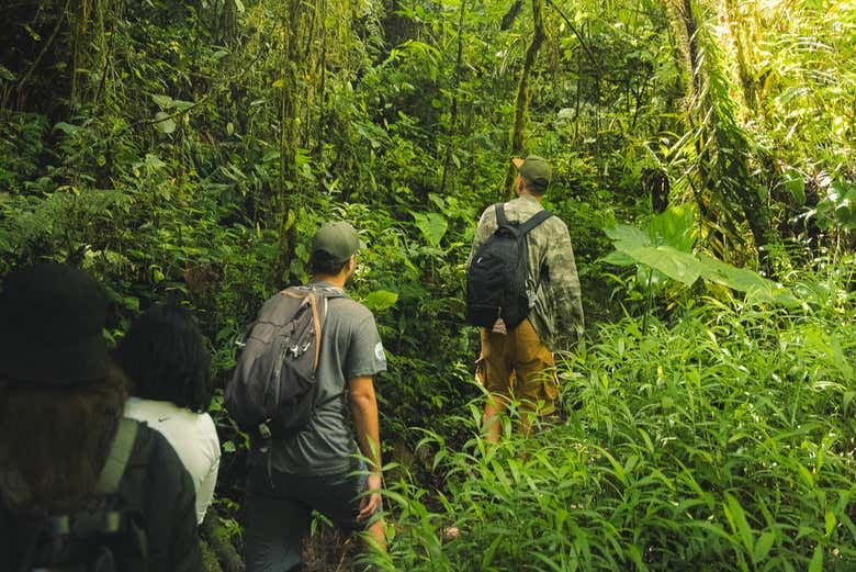 Chorro de las Campanas Waterfall Trip from Montañita Hostel, 5 Hours (8/12)